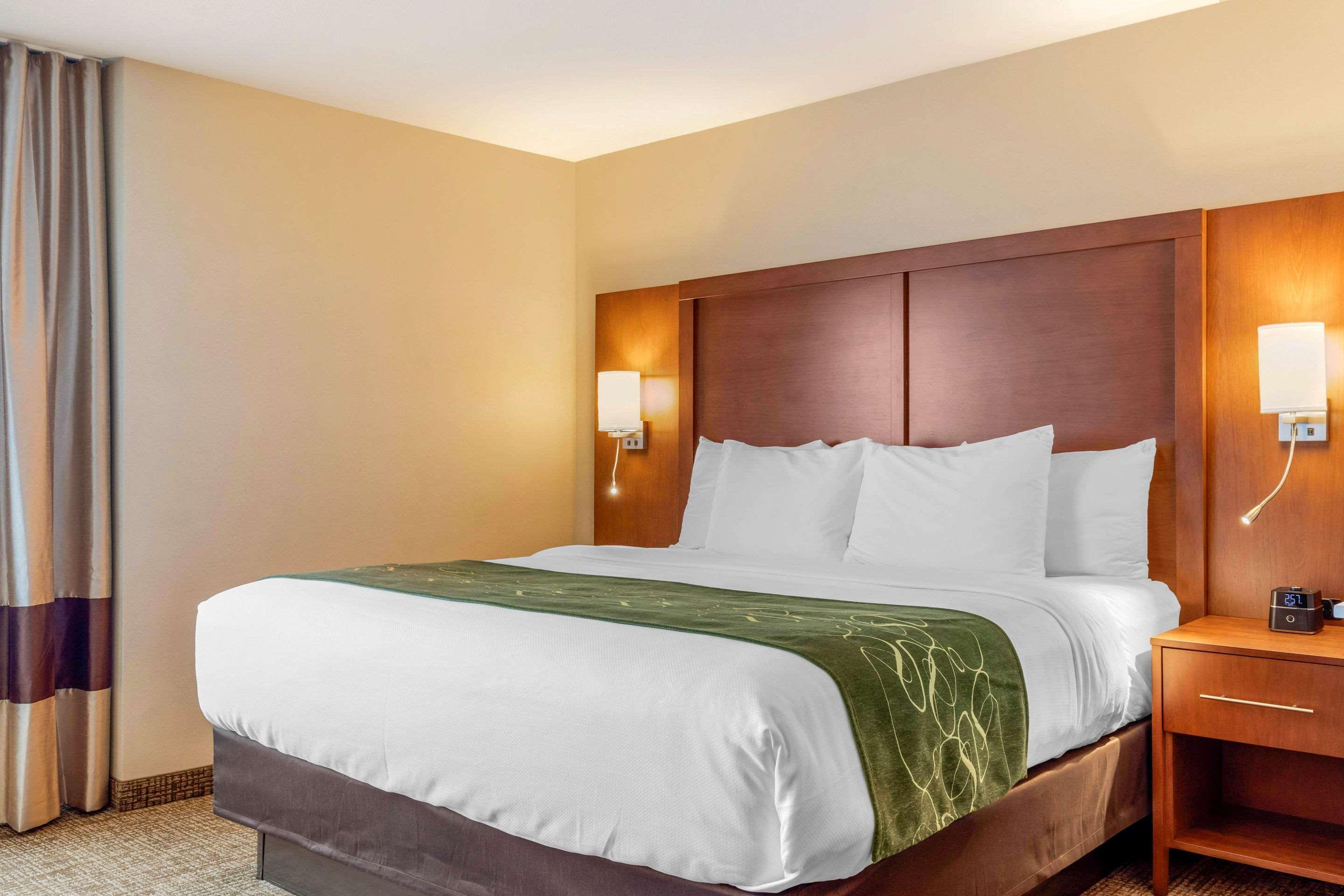 Comfort Inn & Suites Schenectady - Scotia Экстерьер фото