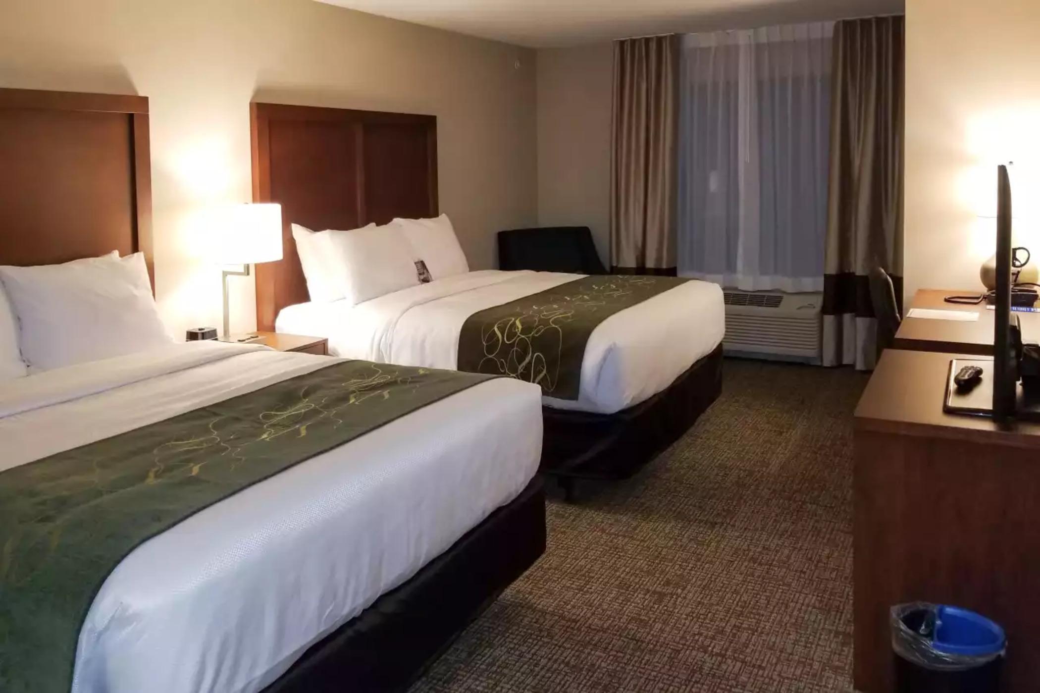 Comfort Inn & Suites Schenectady - Scotia Экстерьер фото