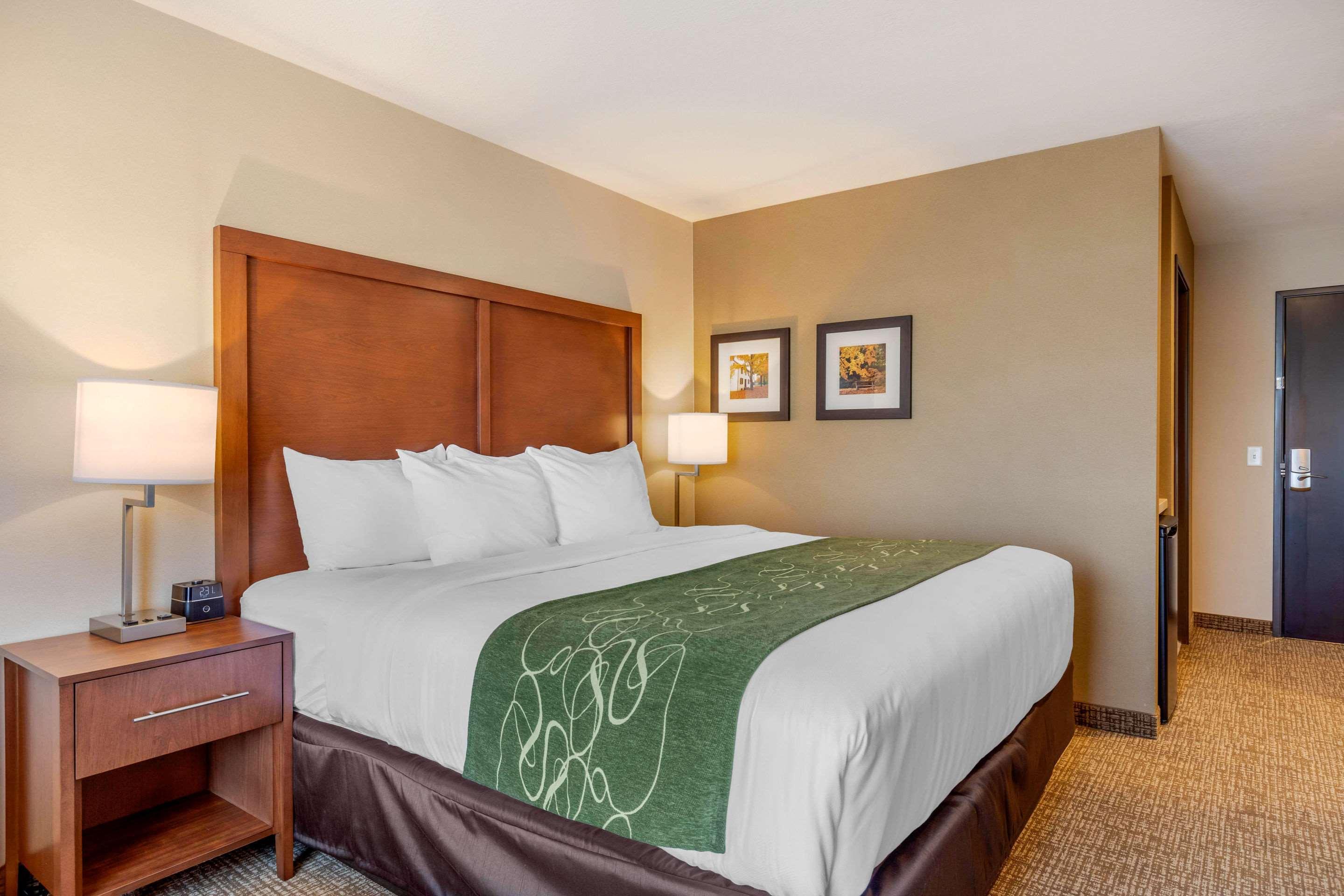 Comfort Inn & Suites Schenectady - Scotia Экстерьер фото