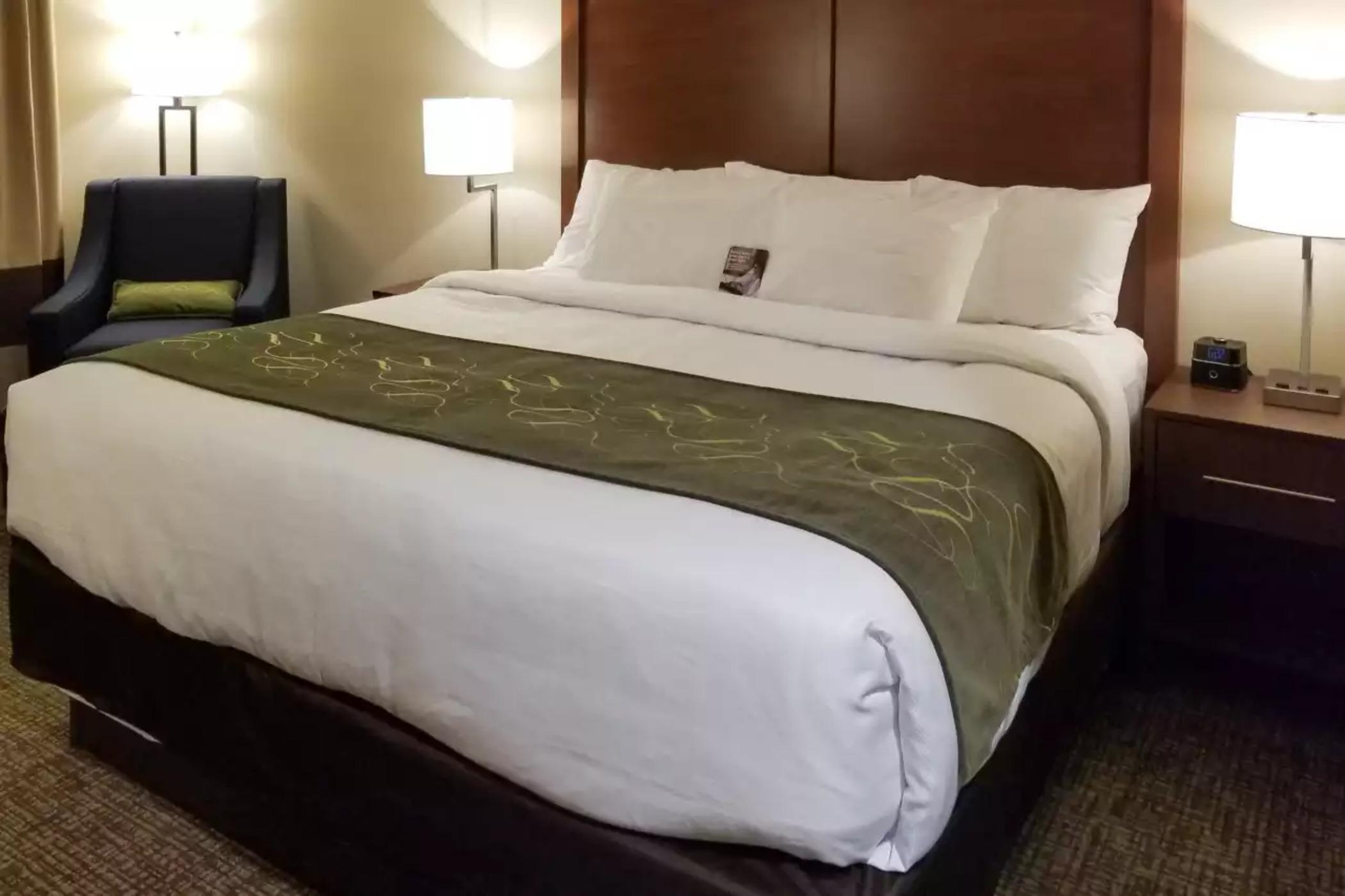Comfort Inn & Suites Schenectady - Scotia Экстерьер фото