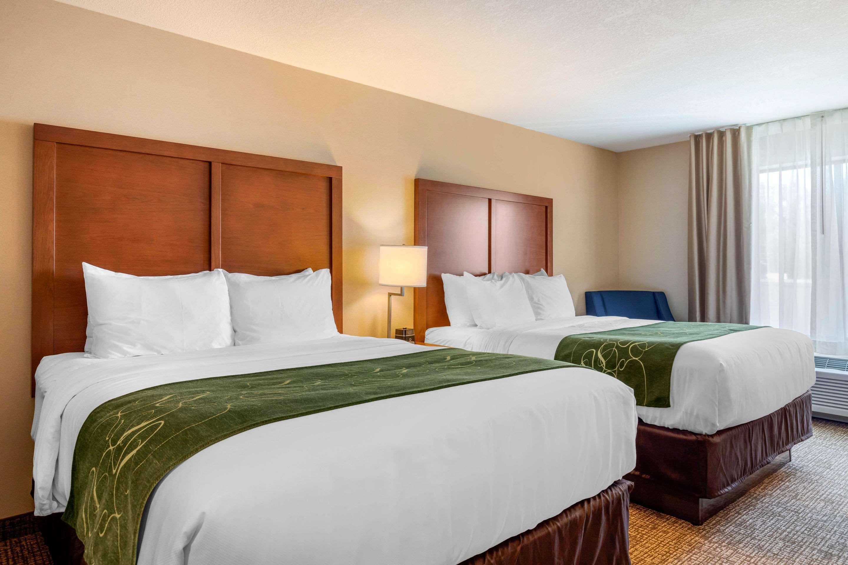 Comfort Inn & Suites Schenectady - Scotia Экстерьер фото