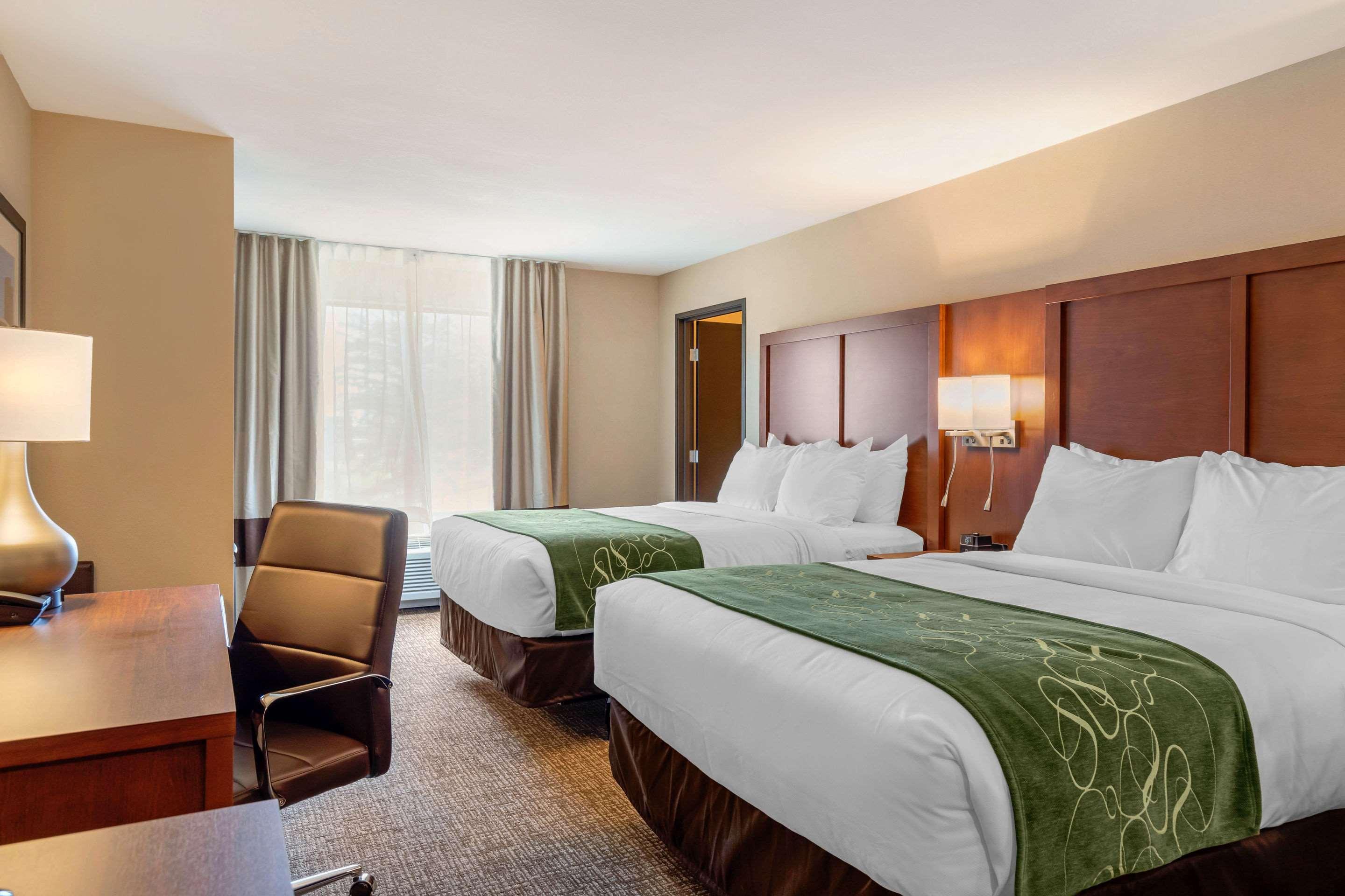 Comfort Inn & Suites Schenectady - Scotia Экстерьер фото