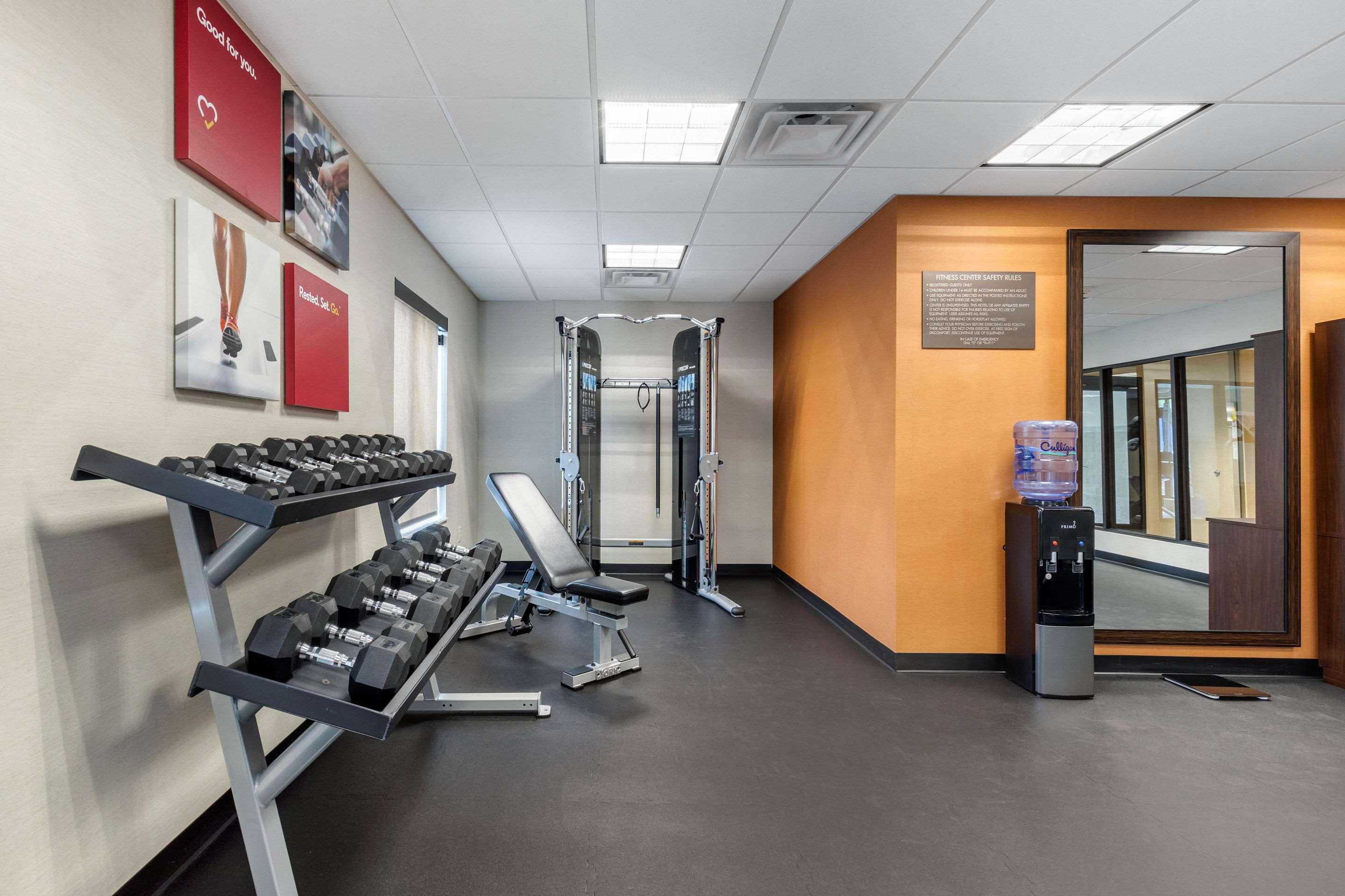 Comfort Inn & Suites Schenectady - Scotia Экстерьер фото