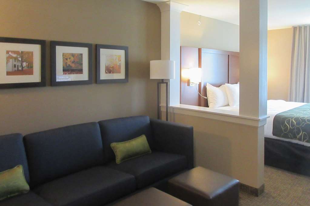 Comfort Inn & Suites Schenectady - Scotia Номер фото